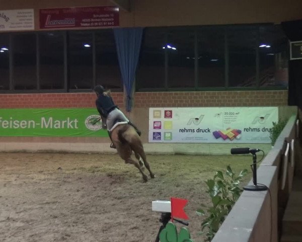 Reitturnier Heiden 2019