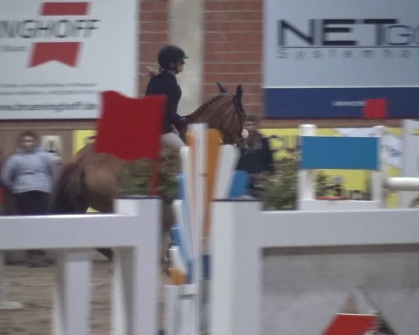 Reitturnier Heiden 2019