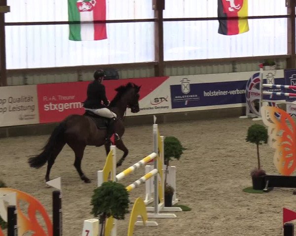 Nordic Jumping events 2019