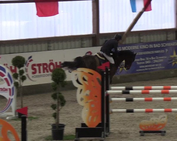Nordic Jumping events 2019