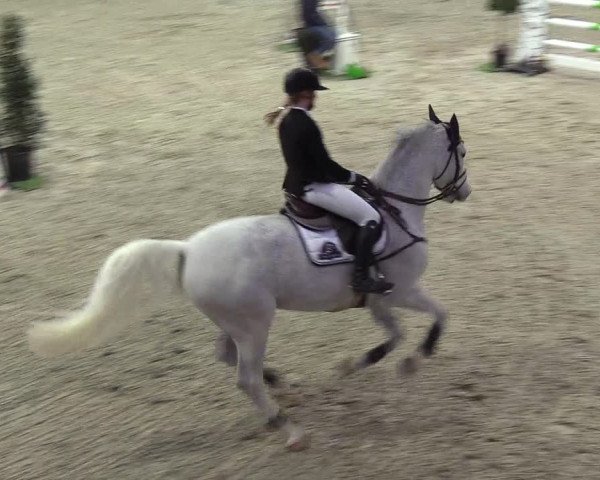 Nordic Jumping events 2019