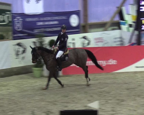 Nordic Jumping events 2019