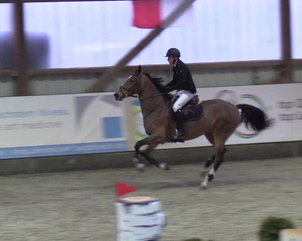 Nordic Jumping events 2019