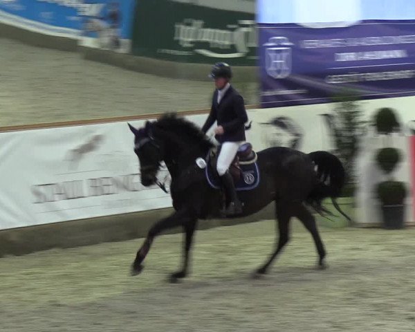 Nordic Jumping events 2019