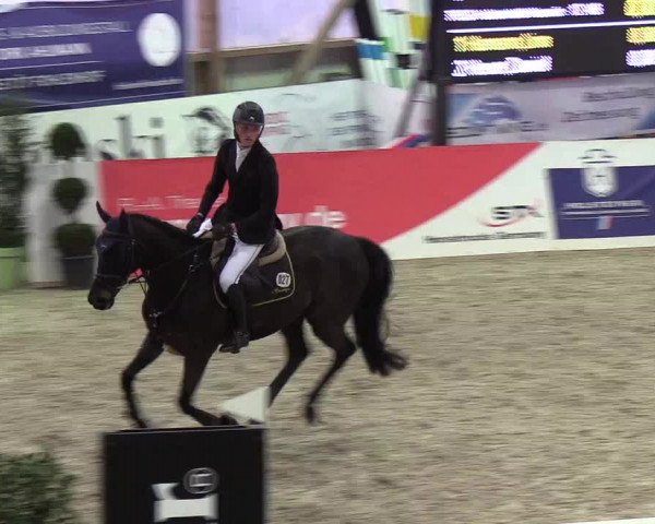 Nordic Jumping events 2019