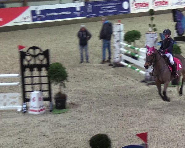Nordic Jumping events 2019