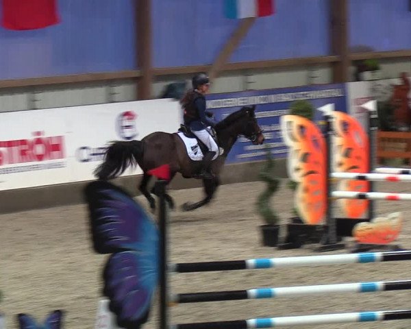 Nordic Jumping events 2019