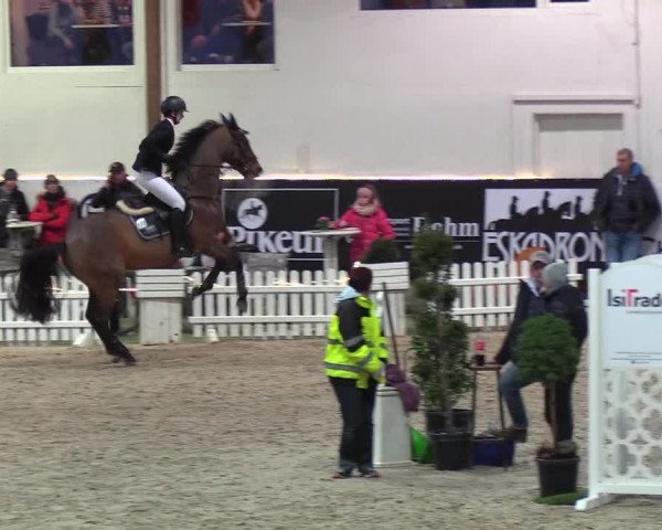 Nordic Jumping events 2019