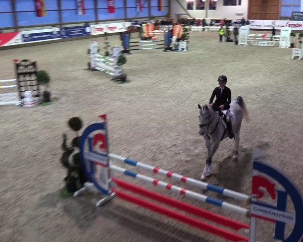 Nordic Jumping events 2019