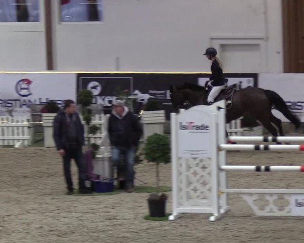 Nordic Jumping events 2019