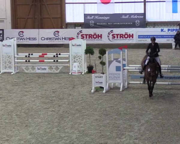 Nordic Jumping events 2019