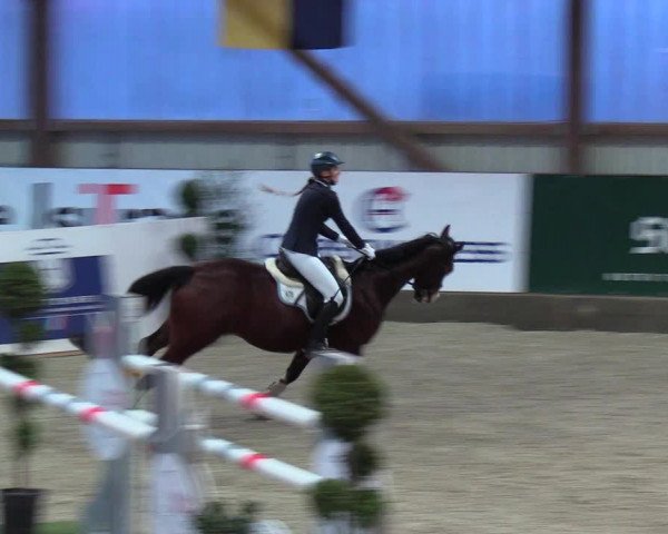 Nordic Jumping events 2019