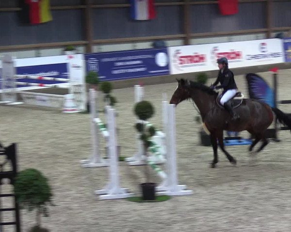 Nordic Jumping events 2019