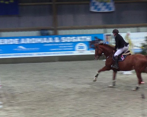 Nordic Jumping events 2019