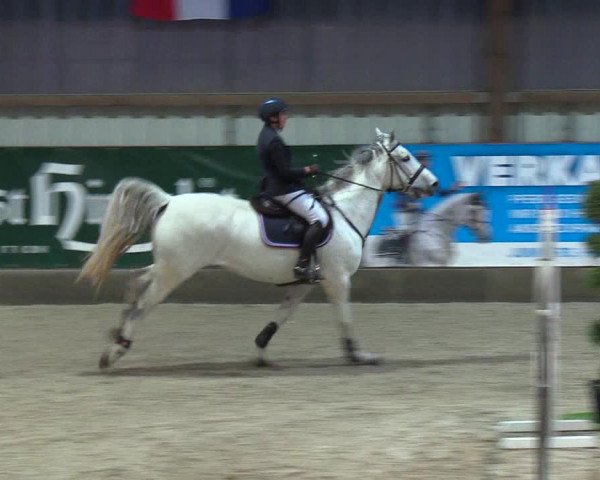 Nordic Jumping events 2019