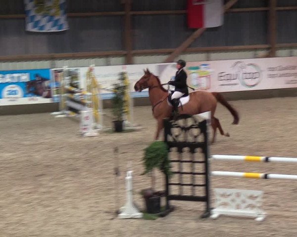 Nordic Jumping events 2019