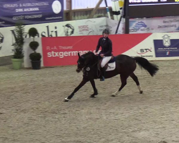 Nordic Jumping events 2019