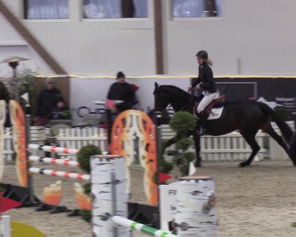 Nordic Jumping events 2019