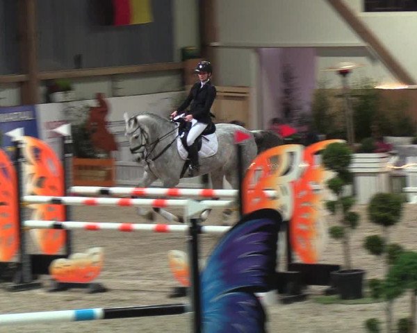 Nordic Jumping events 2019
