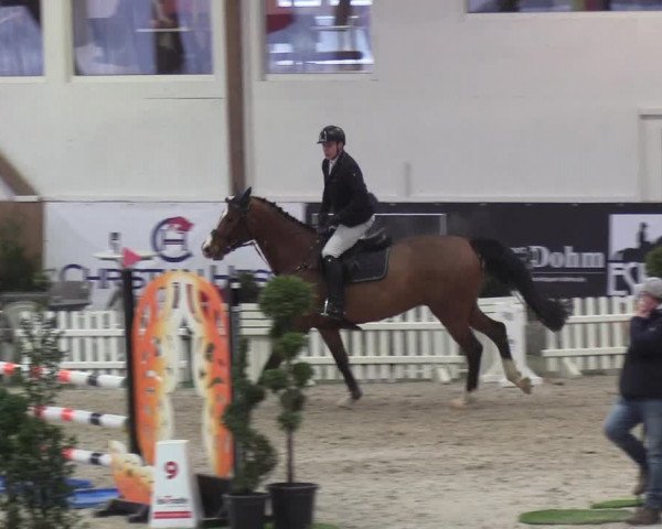 Nordic Jumping events 2019