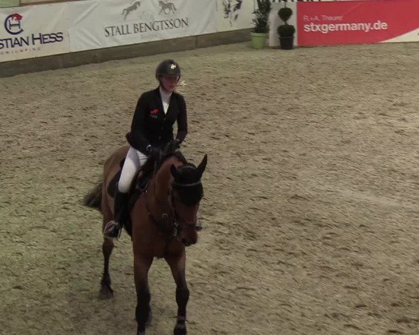 Nordic Jumping events 2019