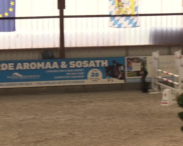 Nordic Jumping events 2019