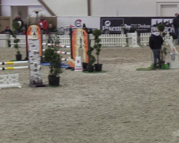 Nordic Jumping events 2019