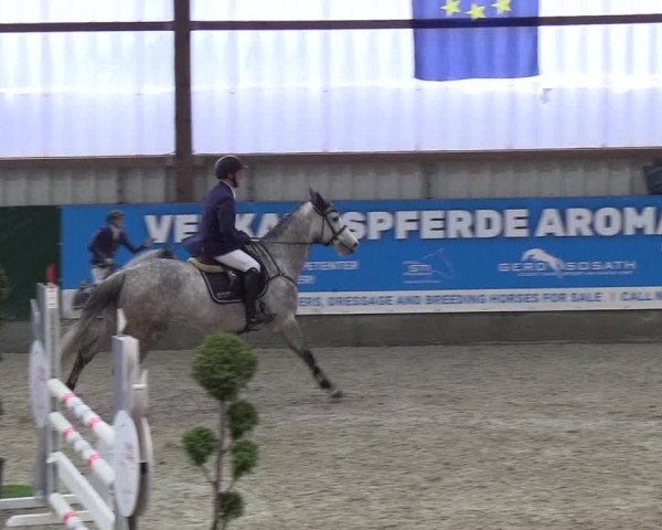 Nordic Jumping events 2019