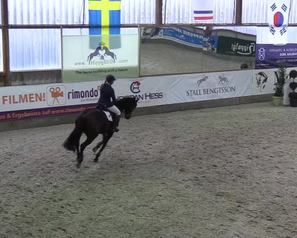 Nordic Jumping events 2019