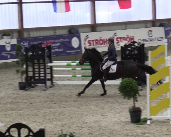 Nordic Jumping events 2019