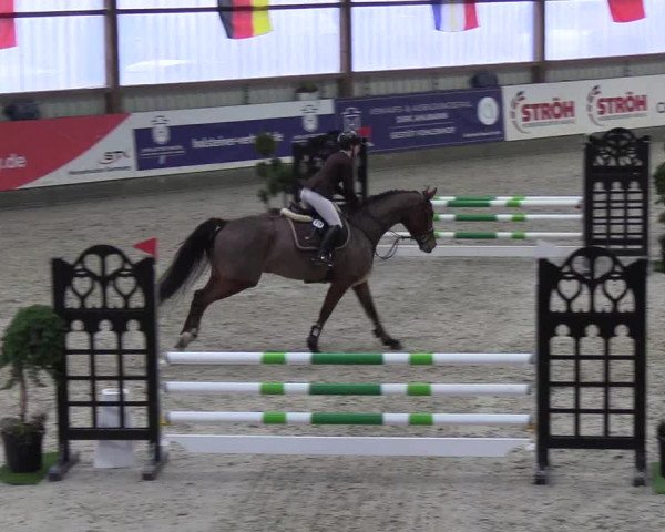 Nordic Jumping events 2019