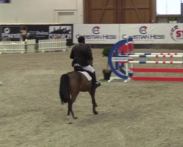Nordic Jumping events 2019