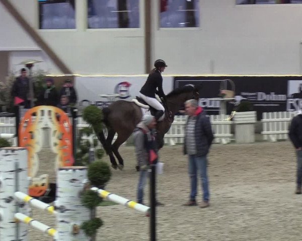 Nordic Jumping events 2019