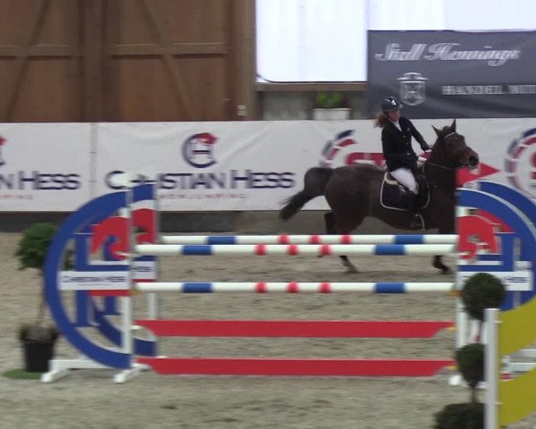 Nordic Jumping events 2019