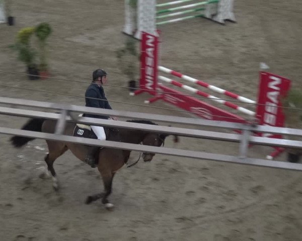 Reitturnier Lathen 2019