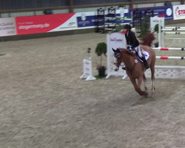 Nordic Jumping events 2019