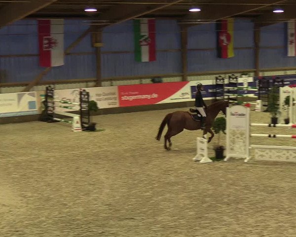 Nordic Jumping events 2019