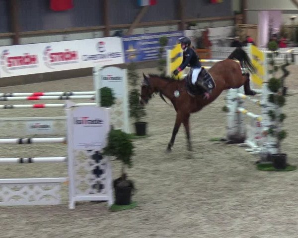 Nordic Jumping events 2019
