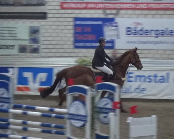 Reitturnier Lathen 2019