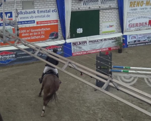 Reitturnier Lathen 2019