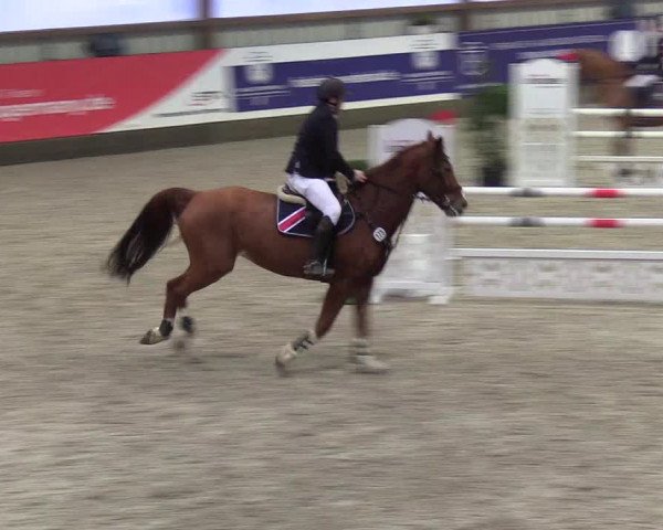 Nordic Jumping events 2019