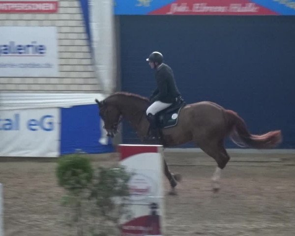Reitturnier Lathen 2019