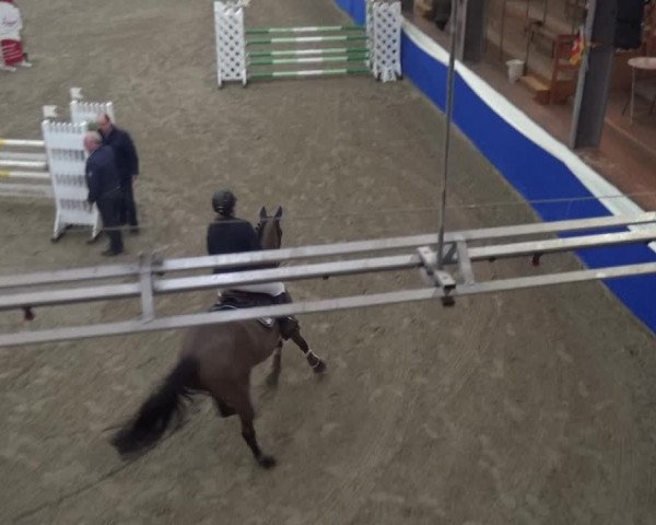 Reitturnier Lathen 2019
