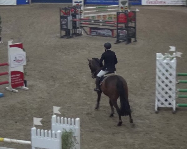 Reitturnier Lathen 2019