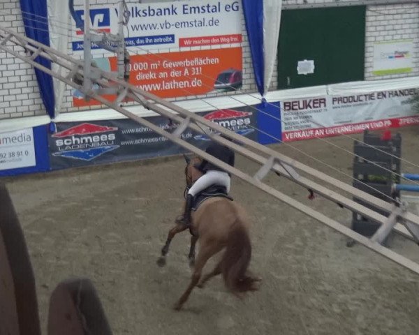 Reitturnier Lathen 2019