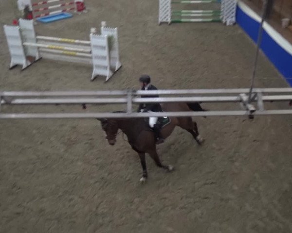 Reitturnier Lathen 2019