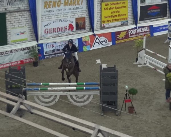 Reitturnier Lathen 2019