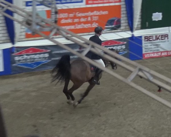 Reitturnier Lathen 2019