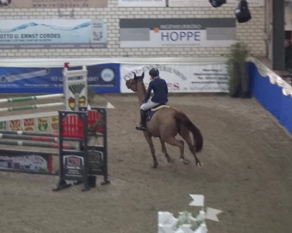 Reitturnier Lathen 2019
