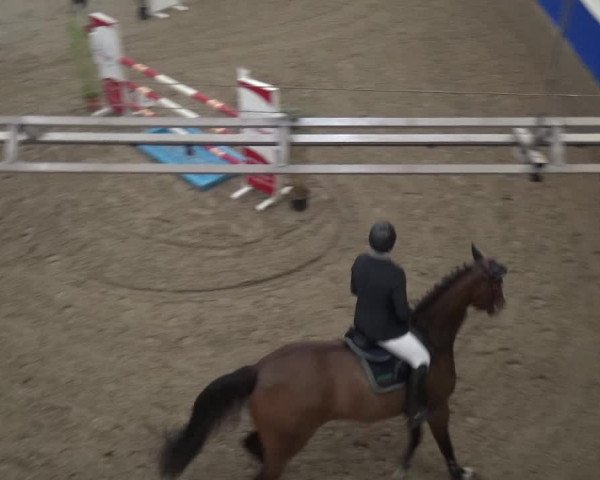 Reitturnier Lathen 2019